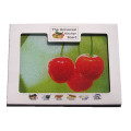 Eco friendly 4mm 5mm thick Tempered Glass Chopping / Cutting Board